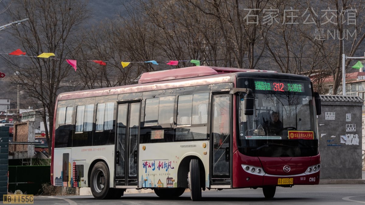 狐狸行千里，情怀永相随