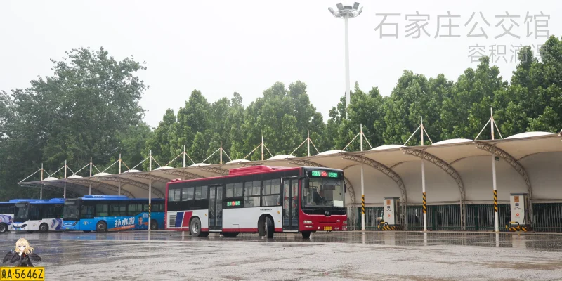 专线（东部运营分公司）