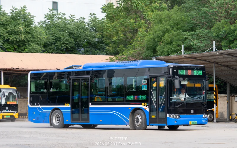 81路