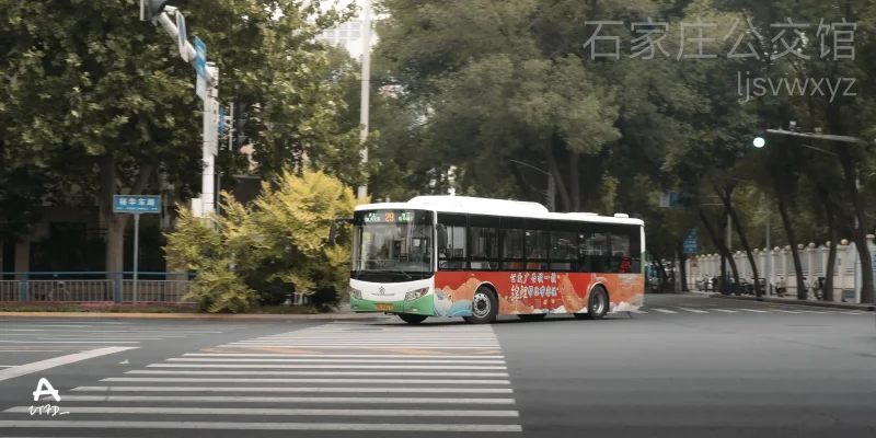 29路