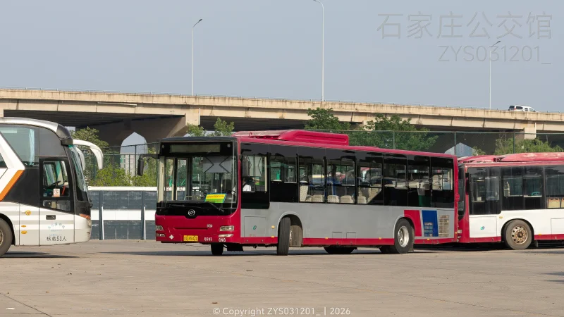 专线（东部运营分公司）