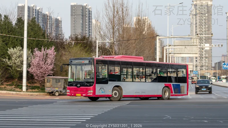 专线（西部运营分公司）