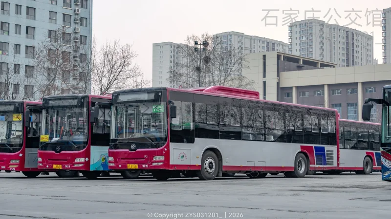 专线（西部运营分公司）