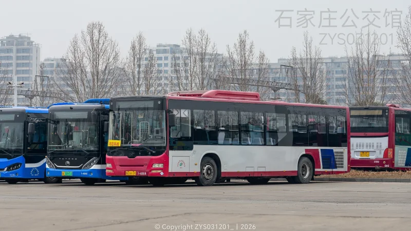 专线（东部运营分公司）