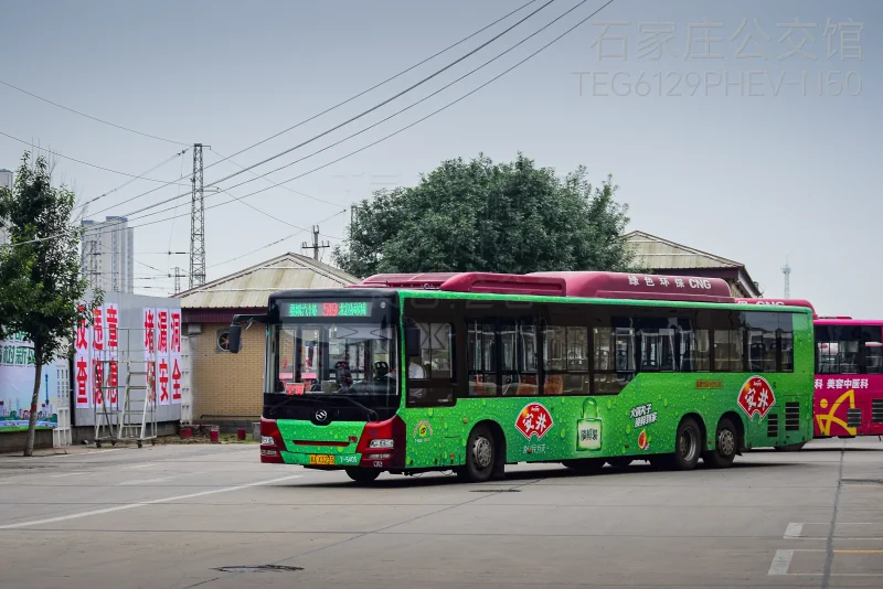 519路