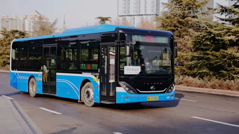 556路