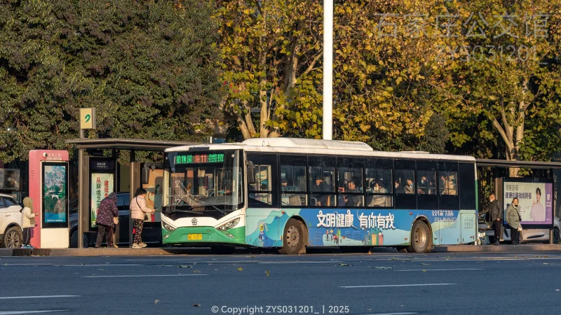 旅游11路
