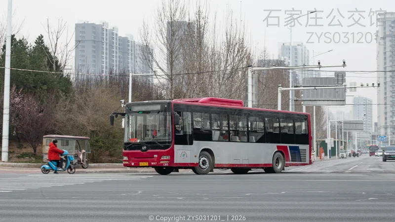 专线（西部运营分公司）