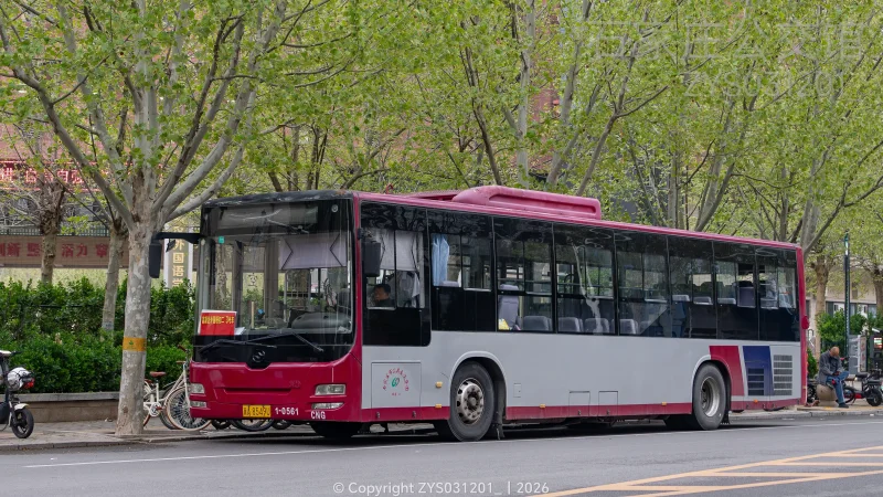 专线（东部运营分公司）