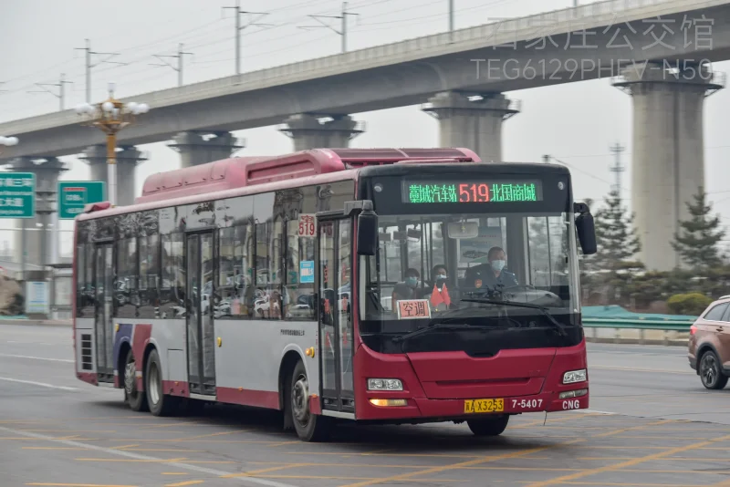 519路