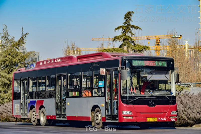 556路