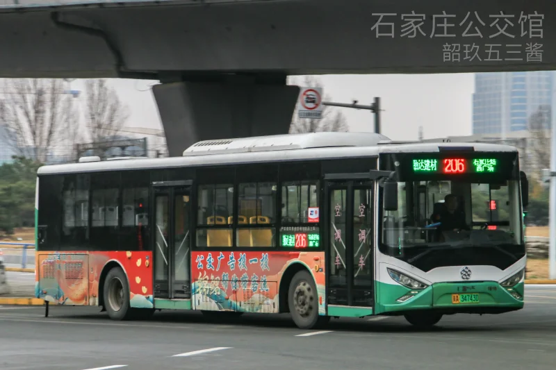 206路