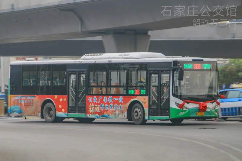 206路