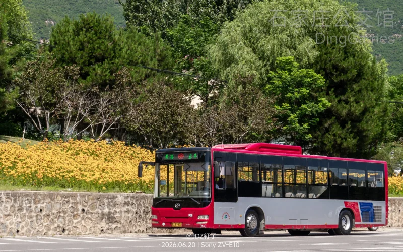 594NB