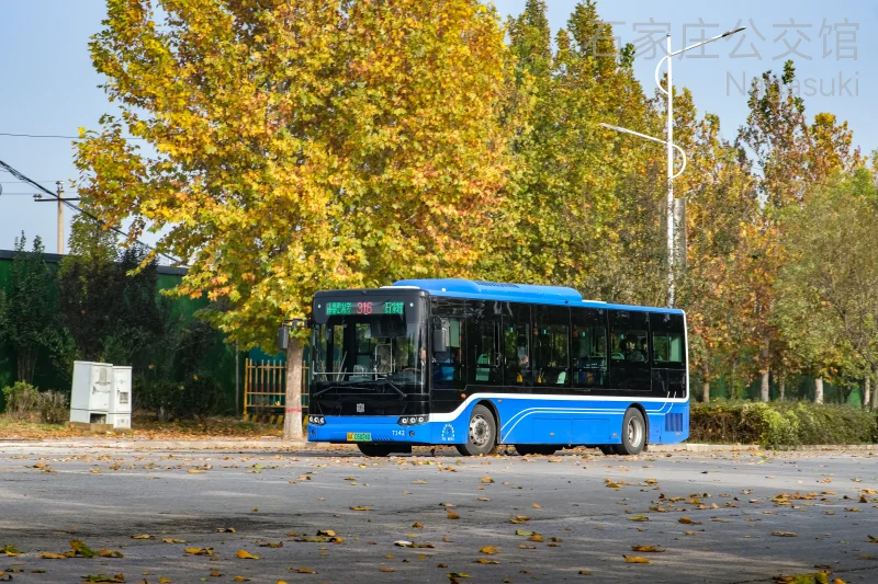 316路