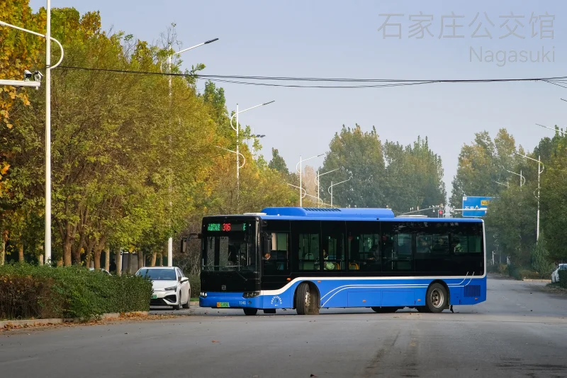 316路