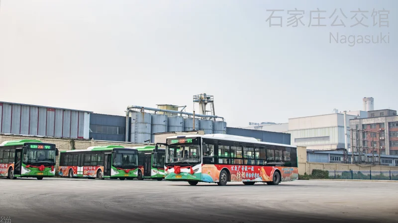 206路