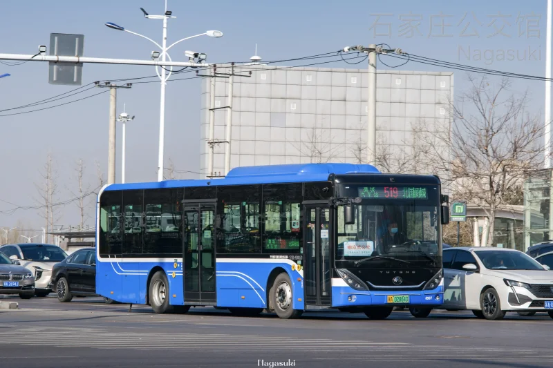 519路