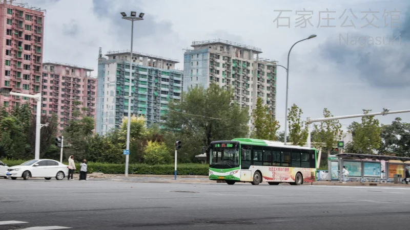 41路