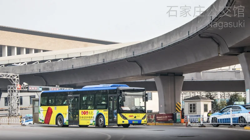 专线（南部运营分公司）