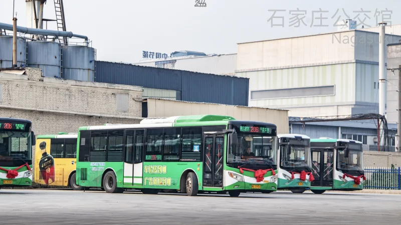 206路