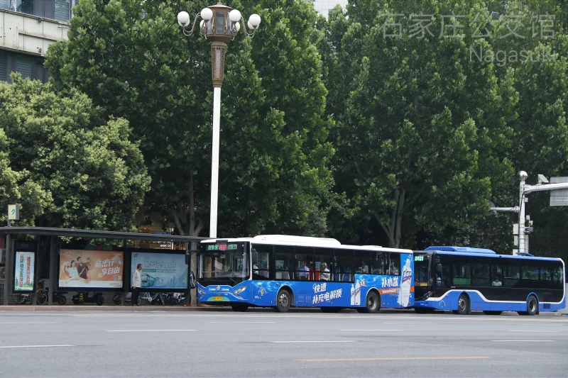 旅游11路
